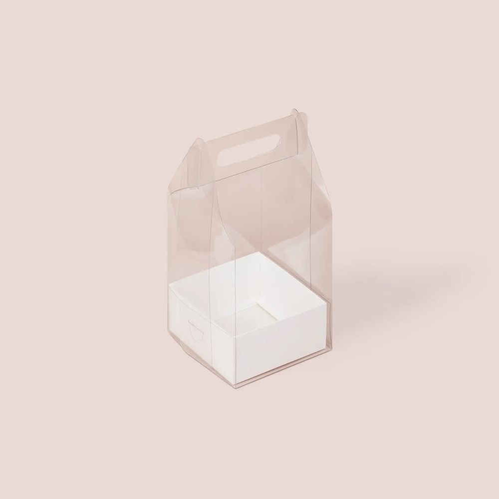 Переноска пластиковая 120*120*200 мм с коробкой