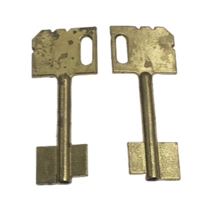 Заготовка дверняк МАЙЕР 1