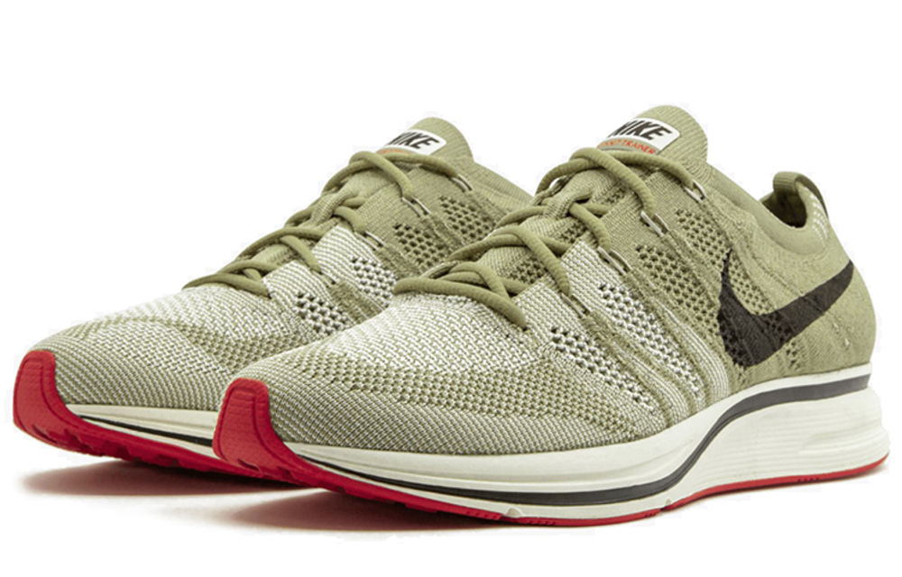 Кроссовки Nike Flyknit Trainer