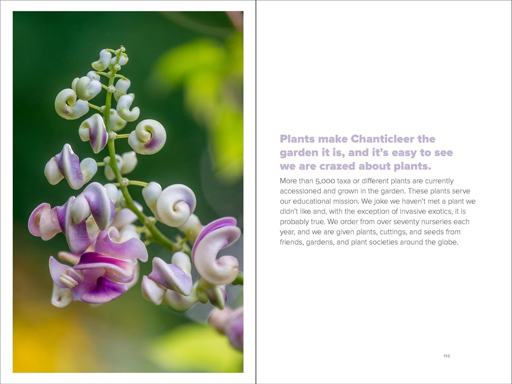 The Art of Gardening: Design Inspiration and Innovative Planting Techniques from Chanticleer
