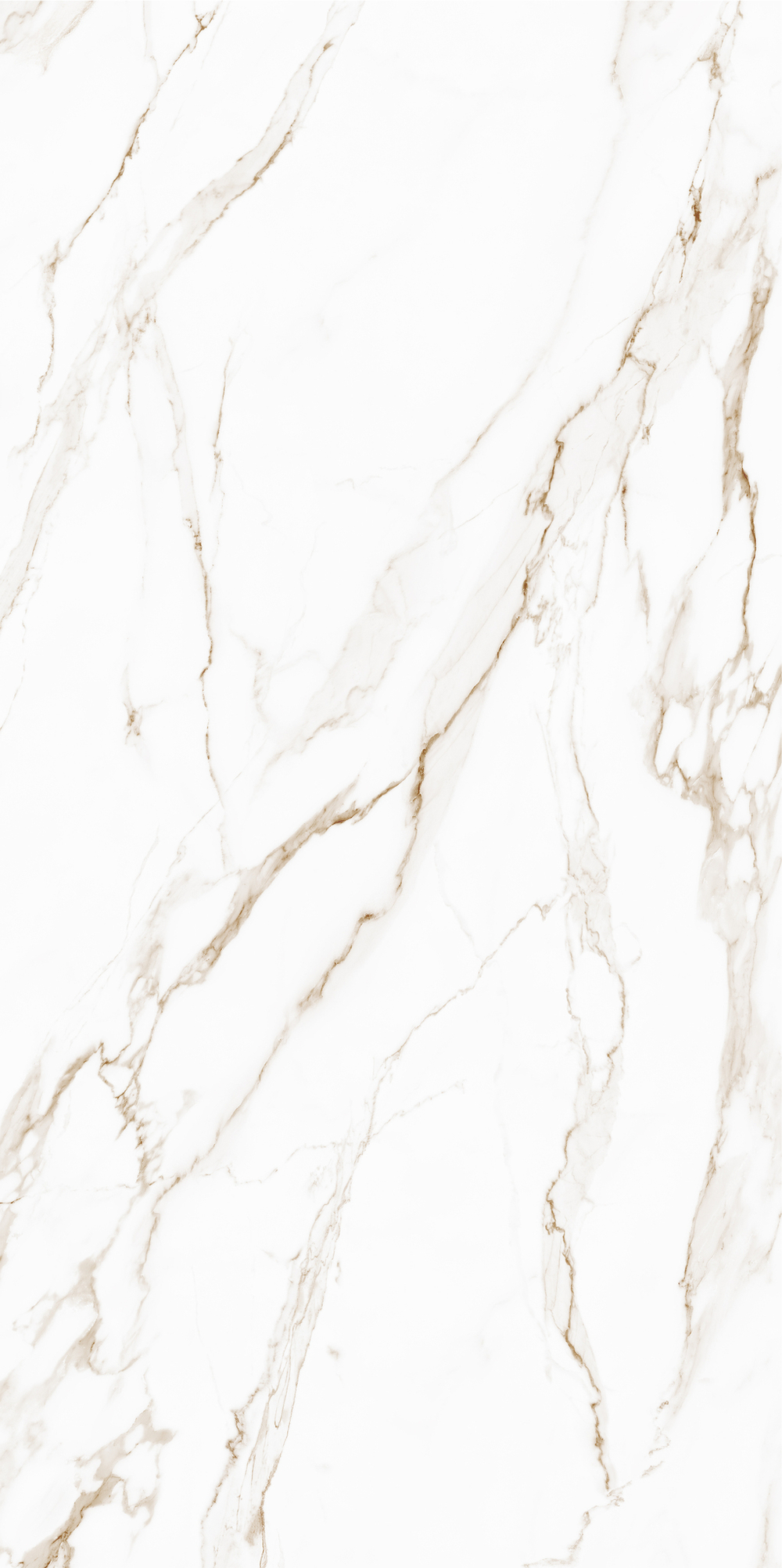 Golden white PG 01 600х1200 (1-й сорт)