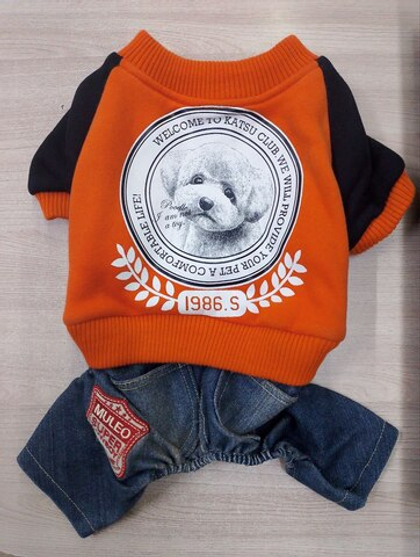 Katsu Комбинезон "Best Club" (куртка + джинсы), теплый трикотаж, размер L