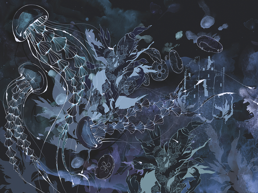 Коллекция JELLY