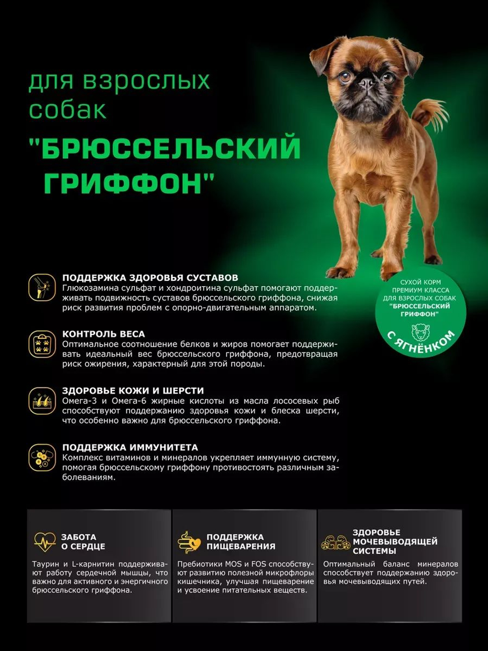Корм сухой для взрослых собак породы Брюссельский гриффон, с ягненком, 800 гр, QUATTRO
