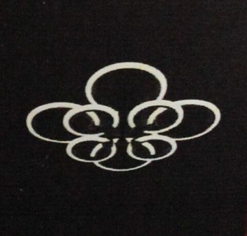 3009/4+4 BK (1) Люстра M (RL)