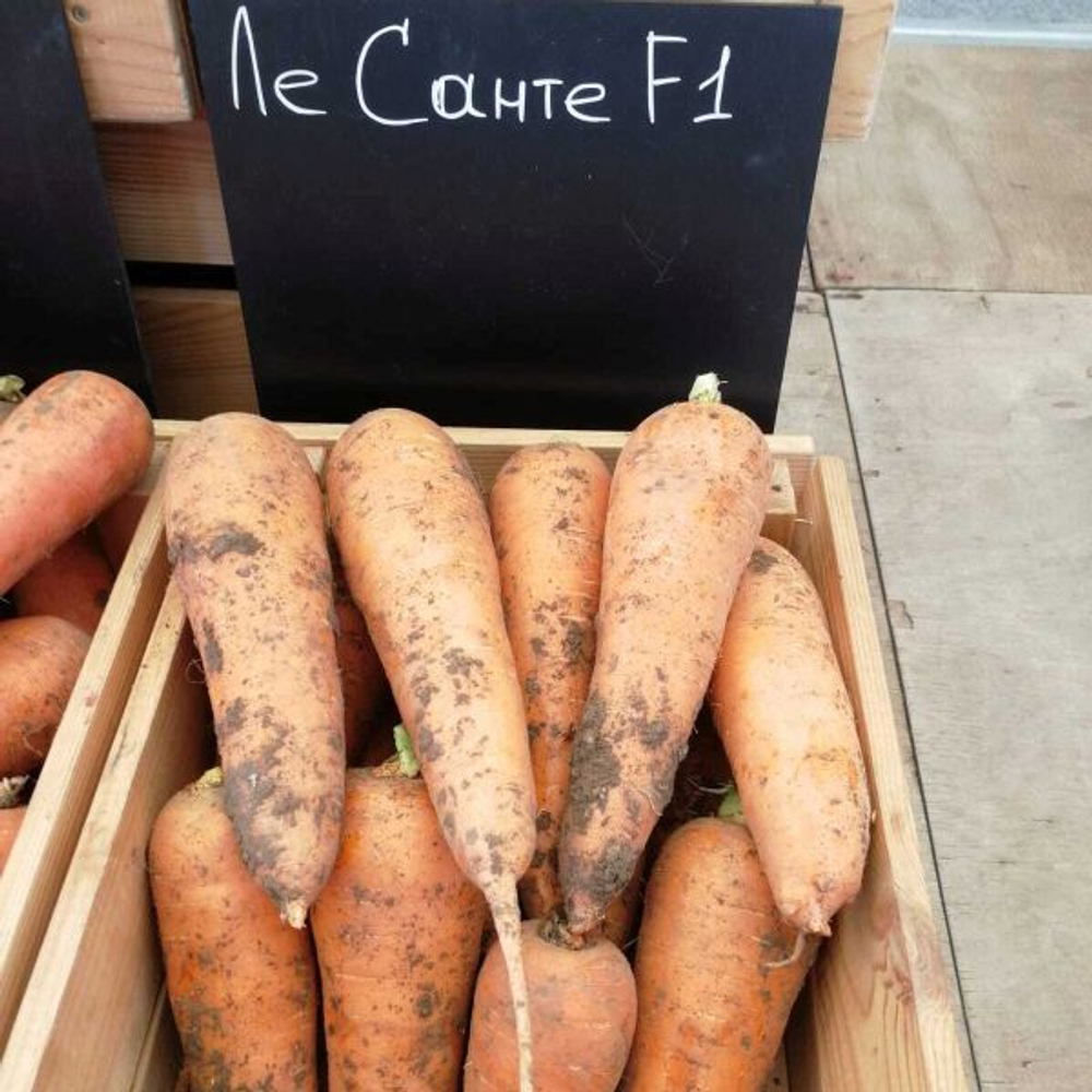 Морковь Ле Санте F1 0,5г Мировые Семена VITA GREEN