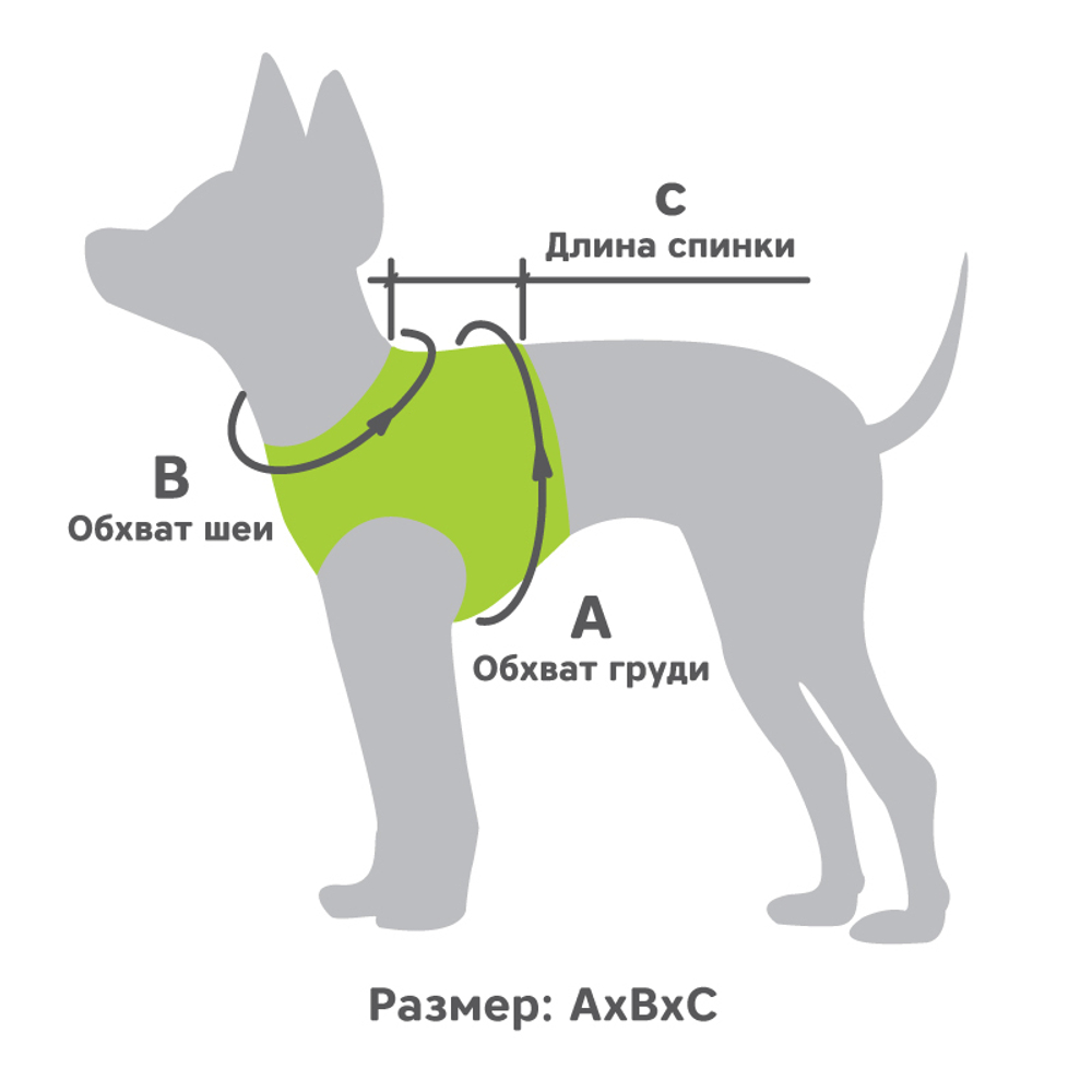 Шлейка-жилетка мягкая нейлоновая бирюзовая XL, обхват груди 520-560мм, Triol