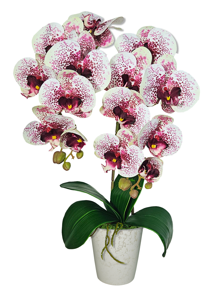 Искусственная Орхидея белая с мелким крапом 2 ветки латекс в кашпо