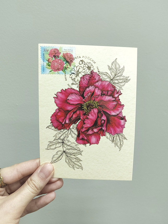 Авторский картмаксимум Флора России 2025 - Пион