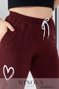 Штаны 351-бордо Minova