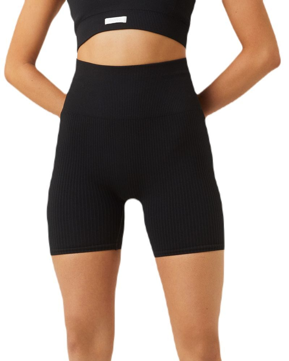 Женские теннисные шорты Bj_rn Borg Studio Seamless Rib Shorts - Black