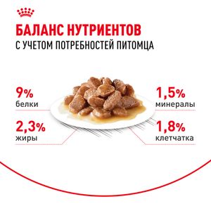 Пауч Royal Canin Sterilised для стерилизованных взрослых кошек, мелкие кусочки в соусе