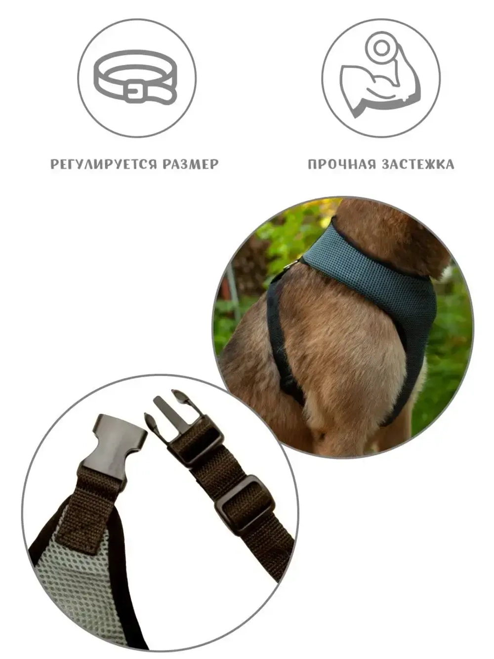 Жилет шлейка для собак и кошек прогулочная