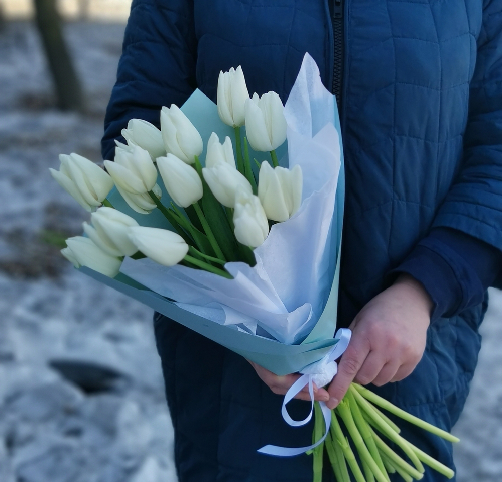 15 тюльпанов в упаковке