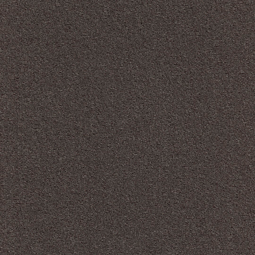 Ковровая плитка Modulyss Eco100 C 845