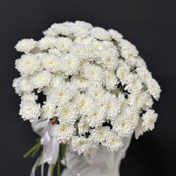Белая хризантема букет купить недорого