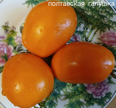 ПОЛТАВСКАЯ ГАЛУШКА