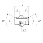 Соединение P BSP 1.1/2" BSP 2"