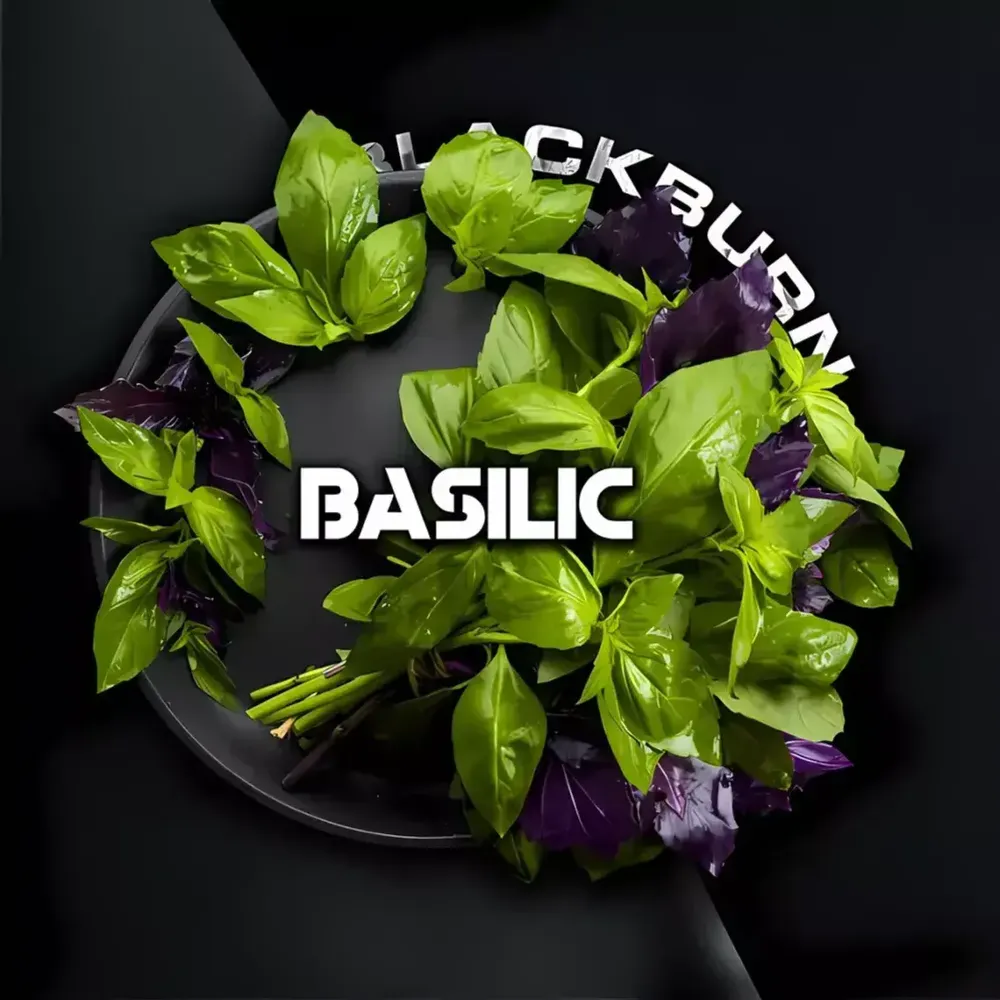 Black Burn - Basilic (100g)