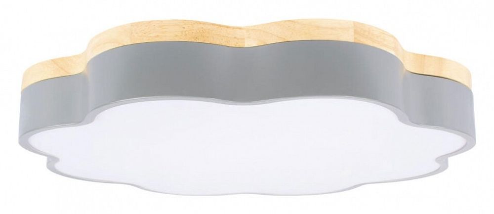 Накладной светильник Loft it Axel 10225/36 Grey