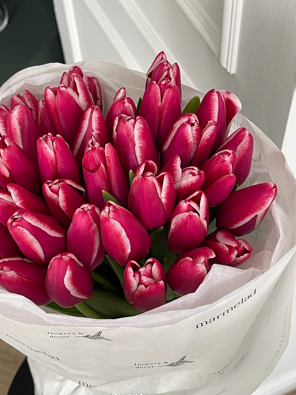 Букет из 35-ти малиново-белых тюльпанов - нет в наличии