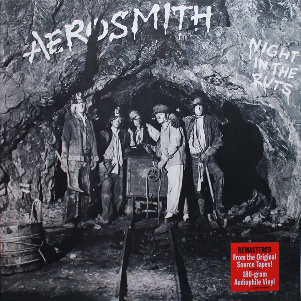 Aerosmith / Night In The Ruts (LP)