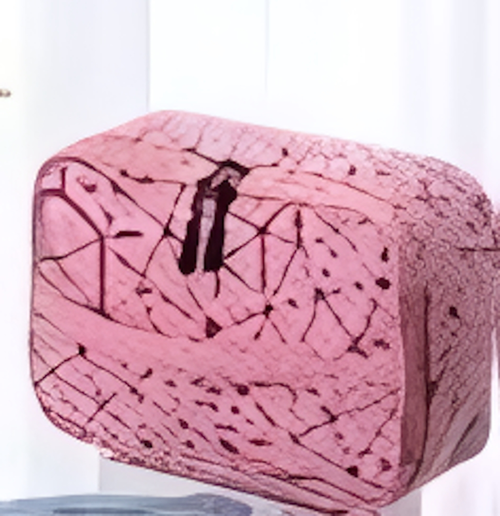 Косметичка-органайзер «Women secret», цвет розовый, 7*22*16см