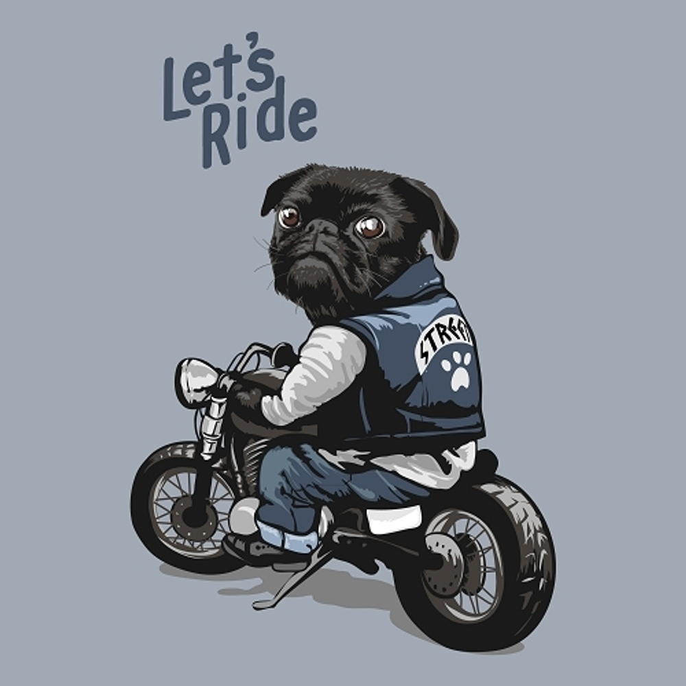 принт с мопсом Lets ride серый