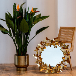 Настенное зеркало Тропикано Объект мечты