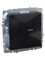 BRITE Розетка USB A+C 18Вт РЮ11-1-БрЧ черный IEK