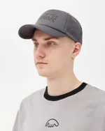 Кепка Anteater Trucker серая