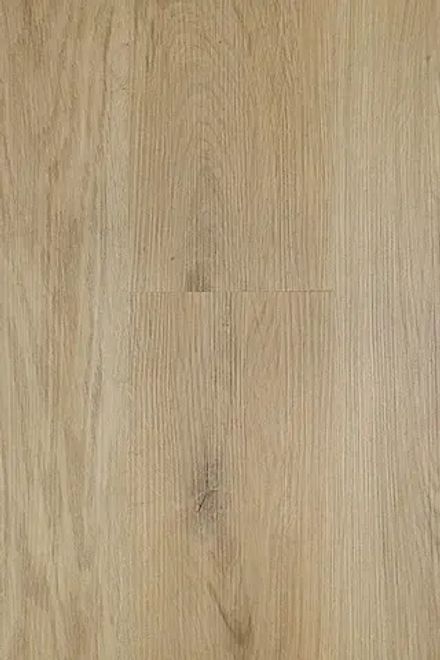 Gaudi G010, 2,196 м²