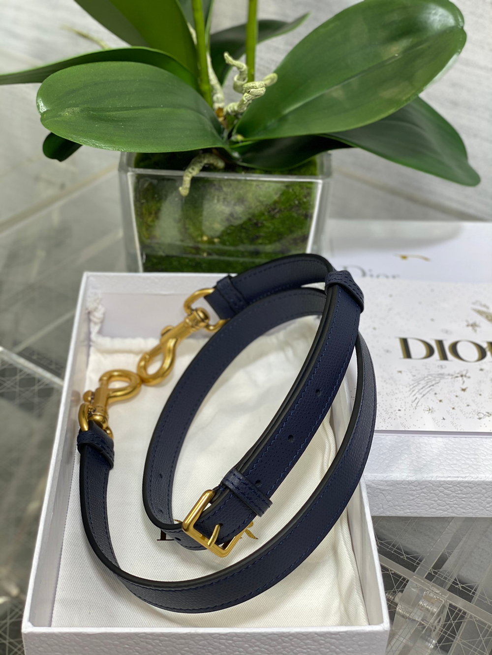 Christian Dior Small Saddle Bag with Strap