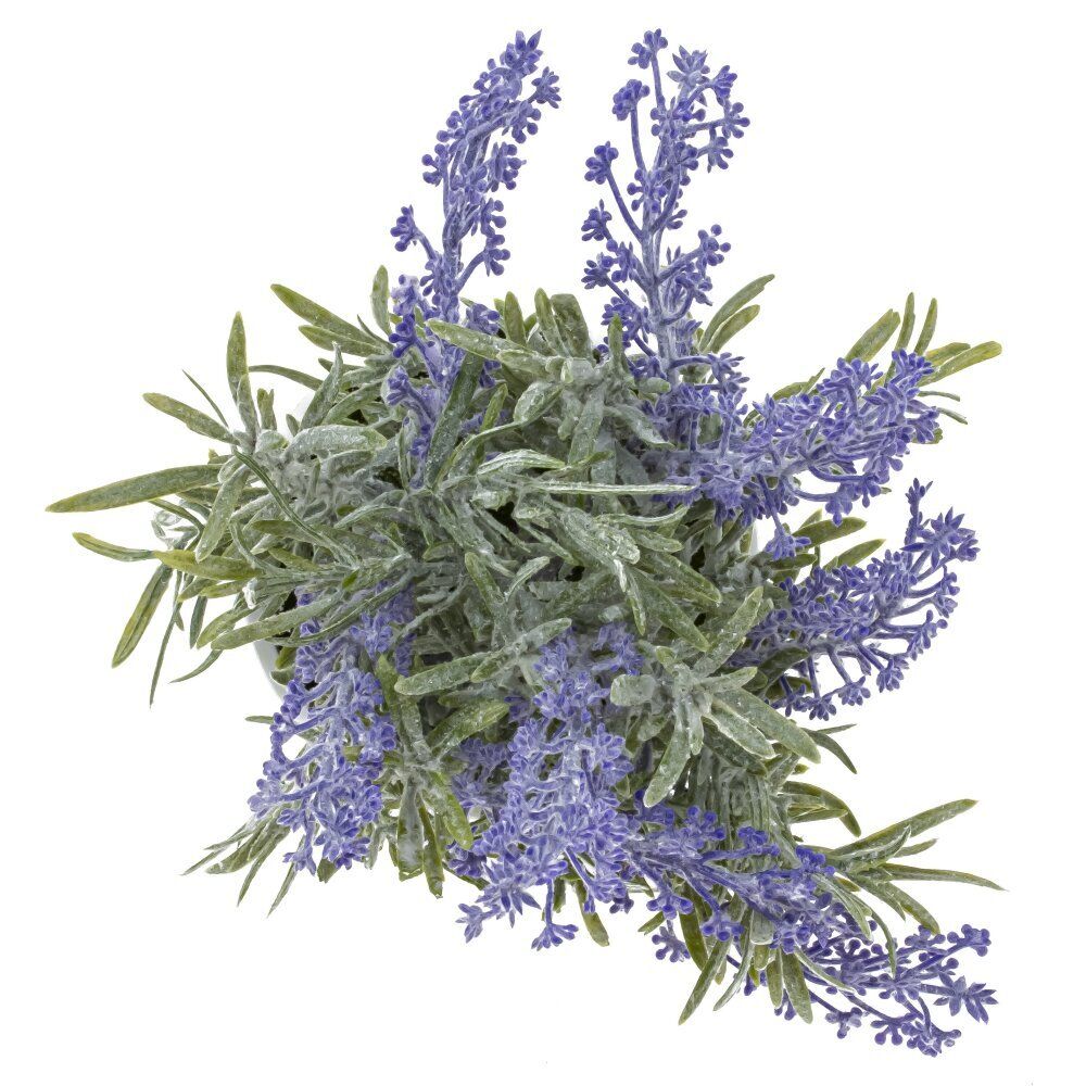 GAEM Цветочная композиция "Лаванда", L17 W17 H26 см