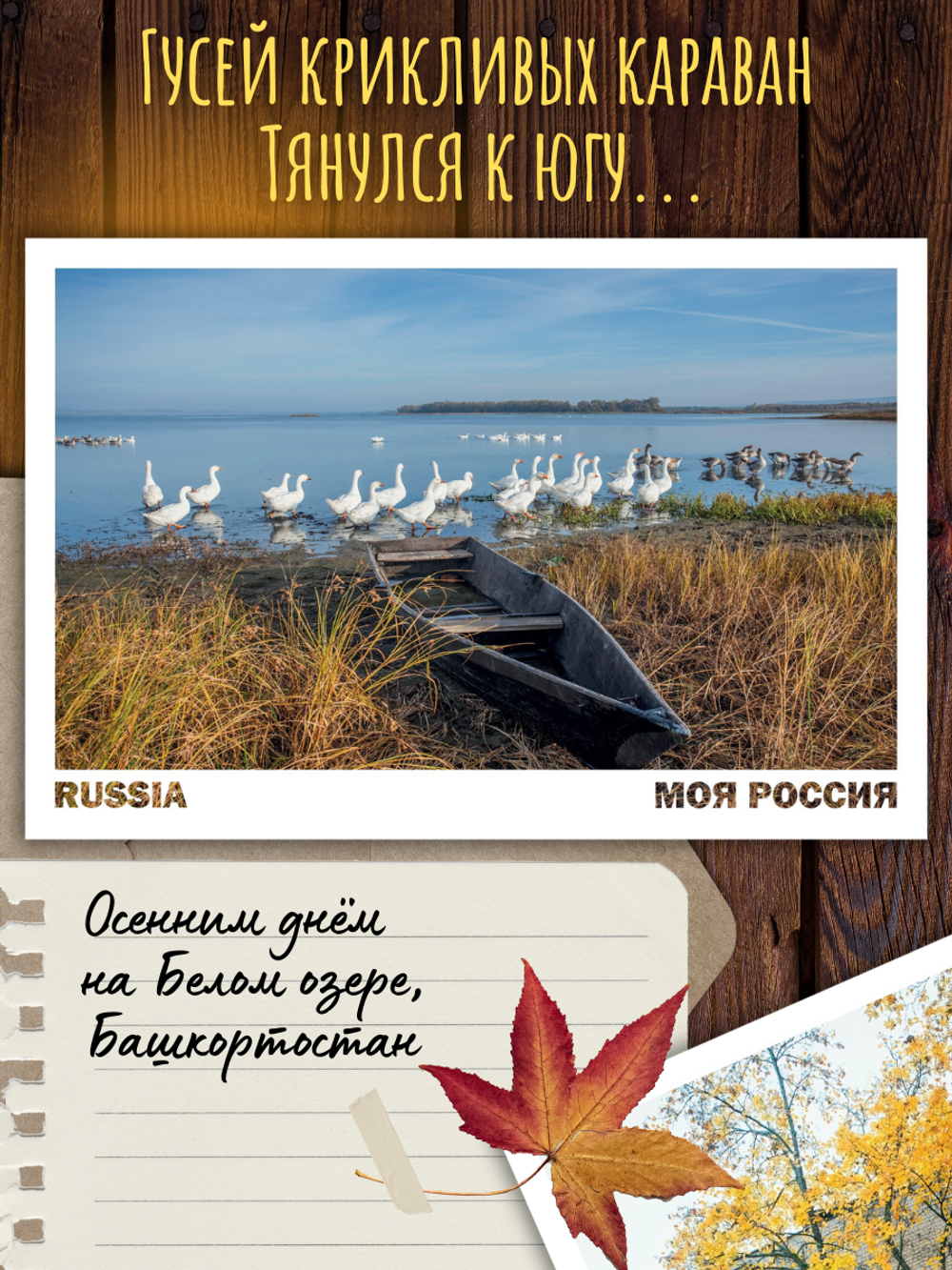 Моя Россия. Осень (выпуск №5, 2025)