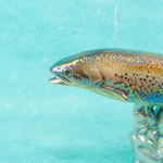 Фарфоровая статуэтка «Радужная форель»