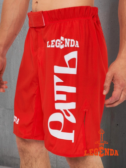 Шорты спортивные ММА LEGENDA Рать, черные