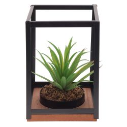 GAEM Цветочная композиция "Суккулент", L14 W14 H21 см