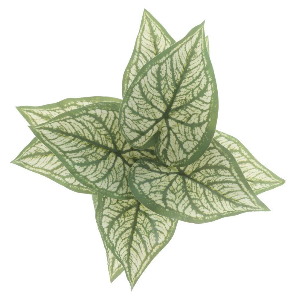 GAEM Цветочная композиция "Каладиум", L20 W20 H21 см