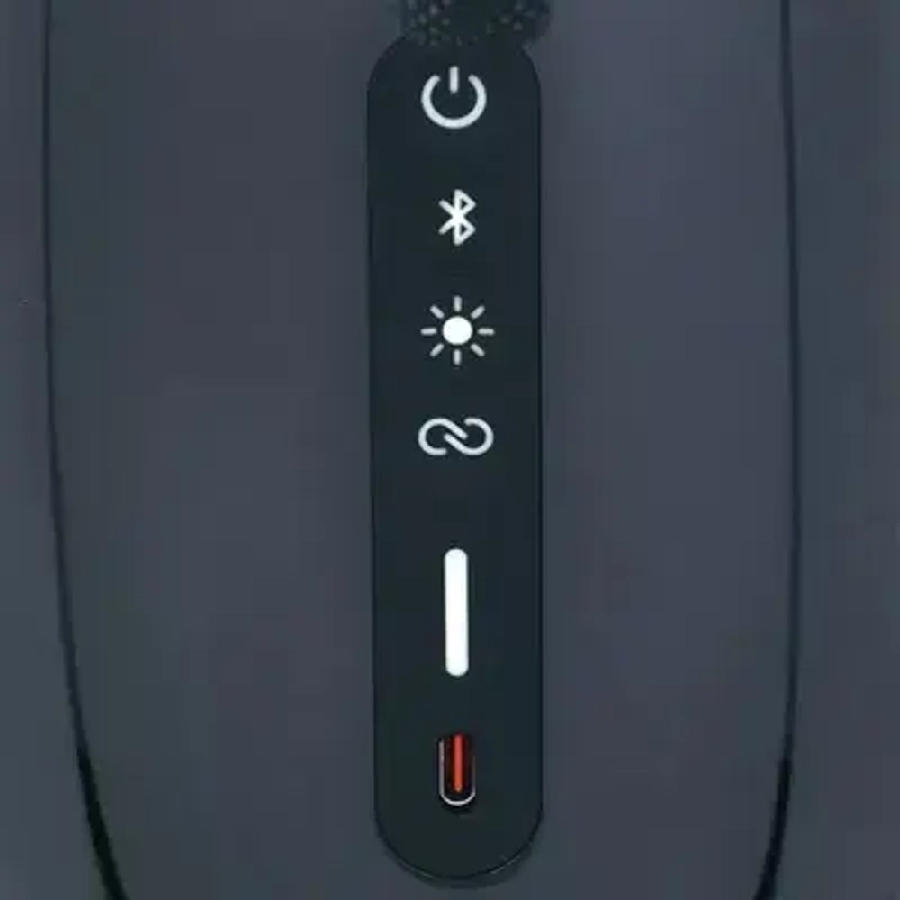 Портативная акустическая система JBL PULSE 5 Black (JBLPULSE5BLK)