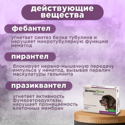 Таблетки от гельминтов для собак крупных пород со вкусом мяса Дехинел Плюс (KRKA), 2таб. Фебантел/Пирантел/Празиквантел