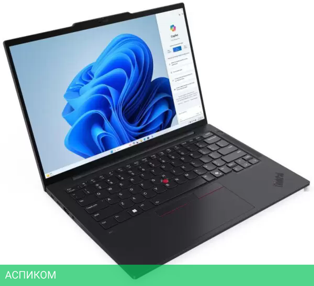 Ноутбук Lenovo ThinkPad T14s Gen 5 21LS004RRT