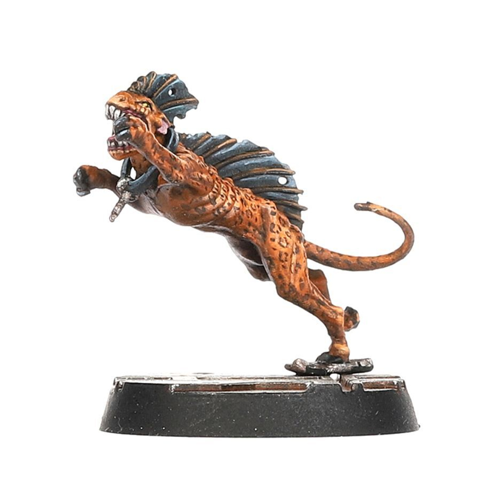 Necromunda: Escher Death Maidens & Wyld Runners