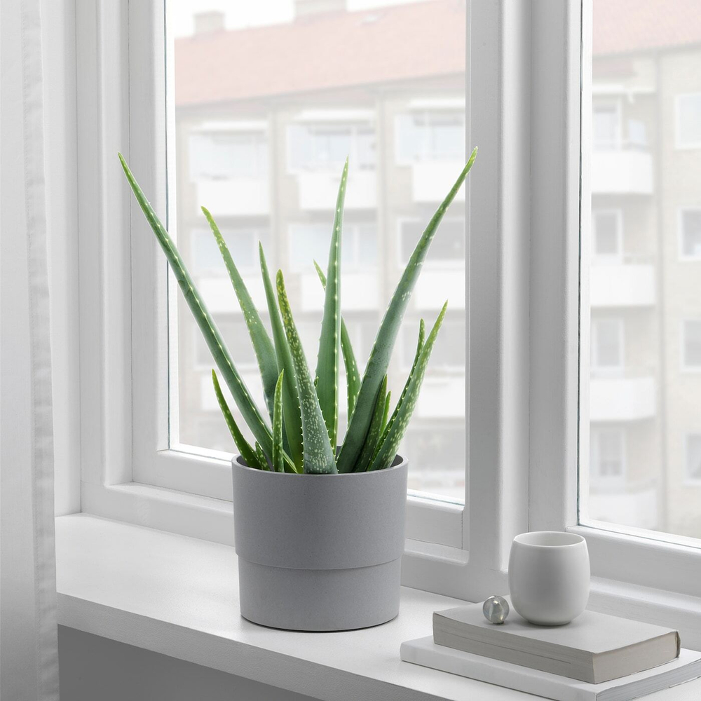 IKEA NYPON  (ИКЕА НЙПОН)  -  Крышка для цветочного горшка, серая, 15 см