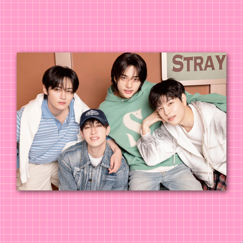 Плюшка / Открытка #070 / STRAY KIDS