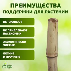 GBS-10-120 GREEN APPLE Поддержка бамбуковая 120см o 10мм набор 5шт | GREEN APPLE