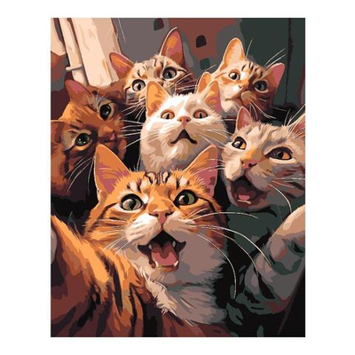 Картина по номерам 40*50см "Котофото" (на подрам.) (Lori)