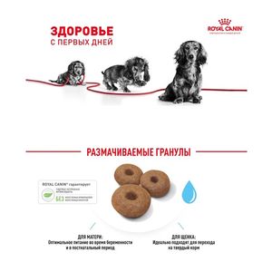 Сухой корм Royal Canin Giant Starter для щенков очень крупных размеров до 2 месяцев, беременных и кормящих сук