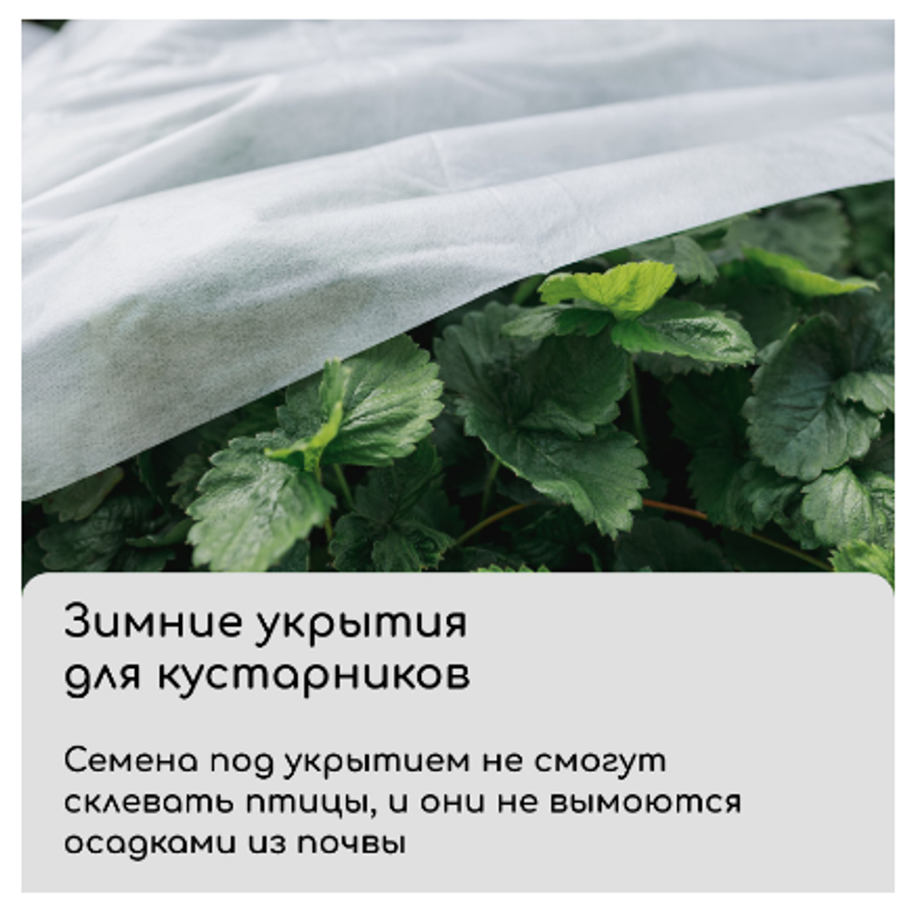 Материал укрывной, 10 × 3.2 м, плотность 60, с УФ-стабилизатором, белый, Greengo, Эконом 20 %