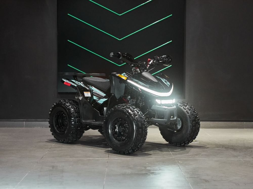 Квадроцикл SHARMAX Cross 180 RX